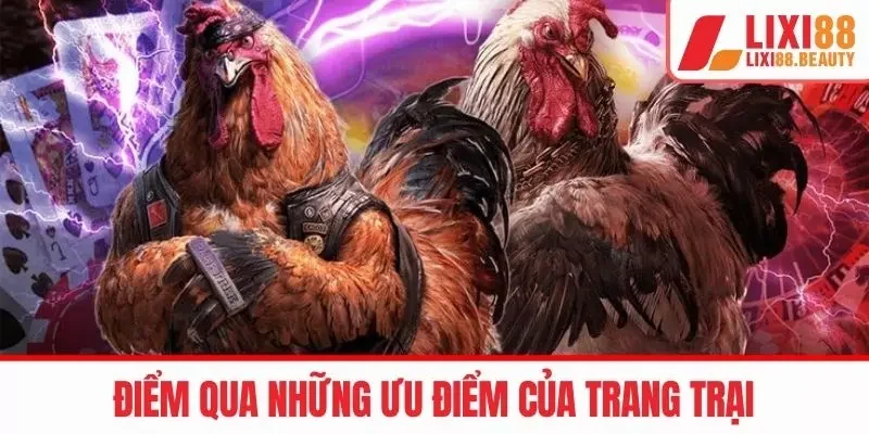 Điểm qua những ưu điểm của trang trại